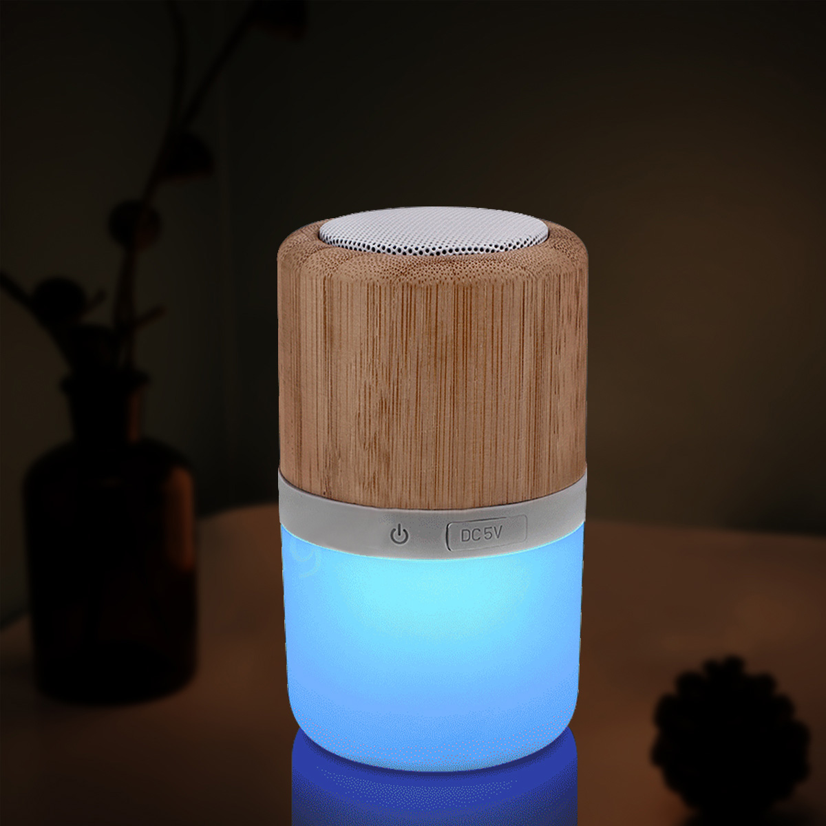 Light Up Bluetooth Speaker